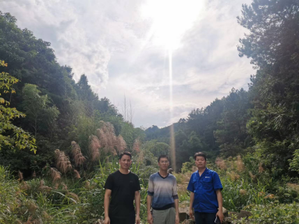 1660810508183703.png image.png