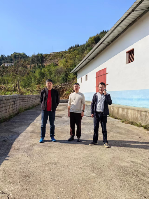 1716864549140725.jpg 1716864554797.jpg