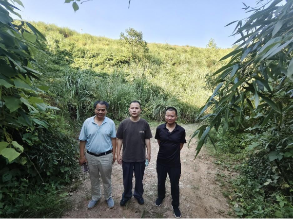 1728872853159200.jpg 1728872811988.jpg