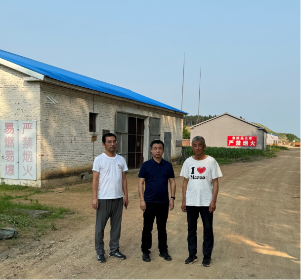 1734925180202794.jpg 1734925145844.jpg